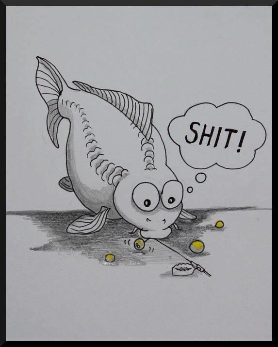 Carp Fishing - 1509853462256120540589944477851n.jpg